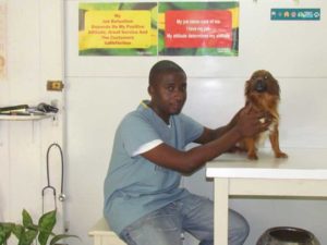 veterinary clinic
